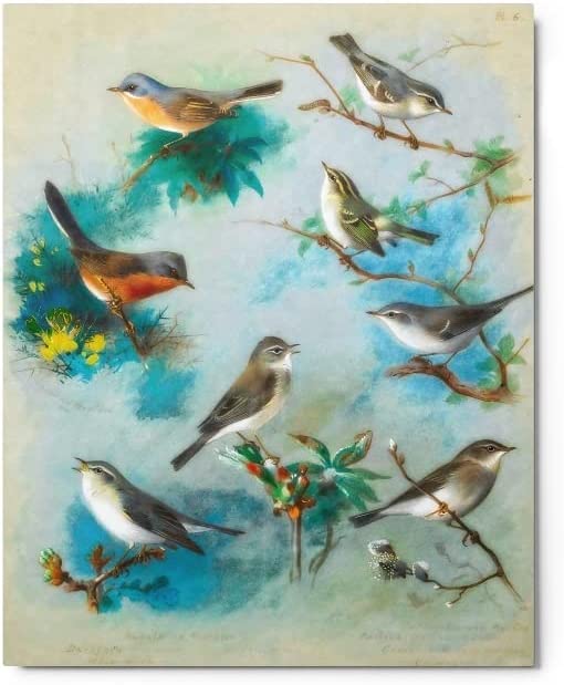 Warbler and Wrens (1913) by Archibald Thorburn Masterpiece Art Revival Series #W011 | Wall Art for Décor of Home or Office