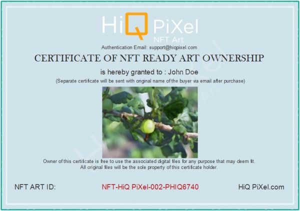 Ownership-Certificate_NFT